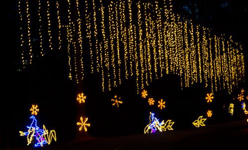 Fantasy in Lights at Callaway Gardens – Capture Life Through the Lens
