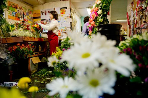 Surrounded by flowers, May Tsai (left) arranges a boquet in a vase at A Blooming Earth florist shop in Decatur on Thursday, January 31, 2013. 