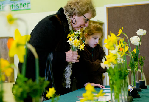Elaine Bolton (left) stands with her granddaughter Aubrey Charron as they walk the rows of daffodils on display at the Chattahoochee Nature Center in Roswell during the Georgia Daffodil Society's annual show on Saturday, March 2, 2013