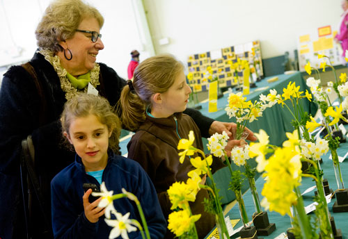  Elaine Bolton (left) stands with her granddaughters Cecile and Aubrey Charron as they walk the rows of daffodils on display at the Chattahoochee Nature Center in Roswell during the Georgia Daffodil Society's annual show on Saturday, March 2, 2013.