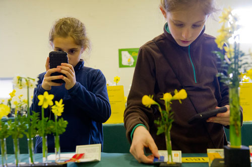 Cecile Charron (left) takes a picture of a display as she walks the rows of daffodils on display with her sister Aubrey at the Chattahoochee Nature Center in Roswell during the Georgia Daffodil Society's annual show on Saturday, March 2, 2013.