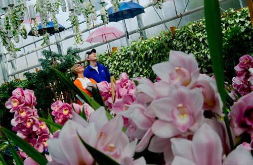 Marion (left) and John Coughlin look up as they walk through Orchid Daze, the new installation at the Atlanta Botanical Gardens, on Sunday, March 3, 2013. 