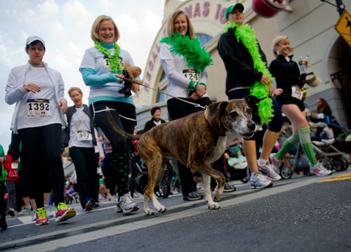 A dog leads her owner as they race in the 5k during the Junior League of Atlanta's 9th annual ShamRock 'N Roll Road Race on Sunday, March 10, 2013.