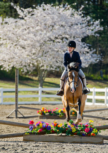 Campbell Key rides Bonpoint over one of the jumps during the first day of the Elite Show Jumping competition at Wills Park Equestrian Center in Alpharetta on Saturday, April 6, 2013. 