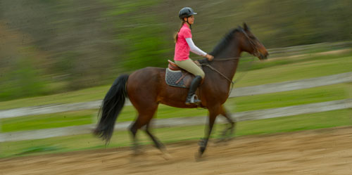 Kathryn Barclay leads her horse around the training ring during a lesson at Little Crek Horse Farm in Decatur on Wednesday, April 3, 2013.