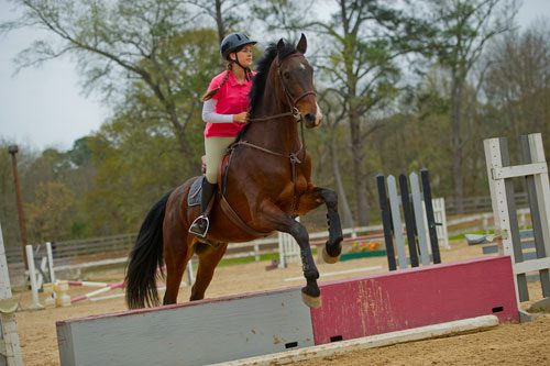 Kathryn Barclay leads her horse over a jump in the training ring during a lesson with Atlanta In-Town Riding Academy at Little Creek Horse Farm in Decatur on Wednesday, April 3, 2013. 