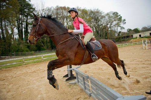  Kathryn Barclay leads her horse over a jump in the training ring during a lesson with Atlanta In-Town Riding Academy at Little Creek Horse Farm in Decatur on Wednesday, April 3, 2013. 
