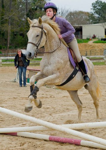 Julia Fleischer (right) leads her horse over a jump in the training ring during a lesson with Dana McDaniel of Atlanta In-Town Riding Academy at Little Creek Horse Farm in Decatur on Wednesday, April 3, 2013.