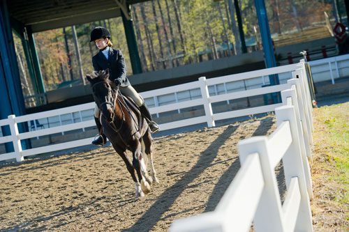 Horses and their riders compete in the 2013 Elite Show Jumping competition at Wills Park Equestrian Center in Alpharetta on Saturday, April 6, 2013.