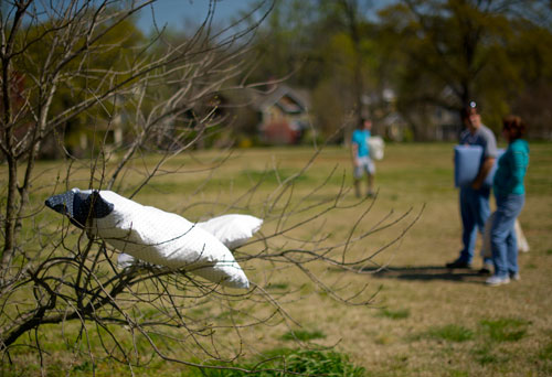 Pillows rest in the branches of a tree at Freedom Park in Little Five Points before the start of the pillow fight to celebrate International Pillow Fight Day on Saturday, April 6, 2013.