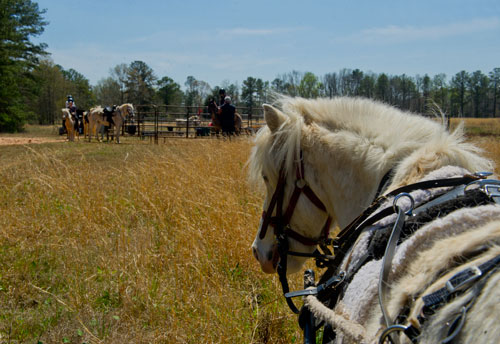 A group saddles up at the pin for their ride with the Adopt-A-Horse organization in Covington on Tuesday, April 2, 2013.