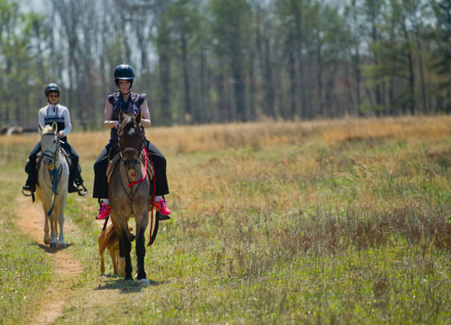 Dawn Gray (right) and her mother-in-law Linda ride horses along an eight mile trail in Covington with the non-profit Adopt-A-Horse organization on Tuesday, April 2, 2013. 