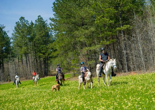 Dennis Horion (right) leads Sydney Gray, her mother Dawn, great aunt Carol Witts and grandmother Linda Gray on horseback along an eight mile trail during their ride in Covington for the non-profit Adopt-A-Horse program on Tuesday, April 2, 2013. 