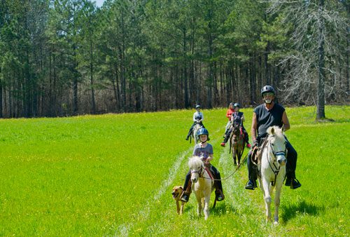 Sydney Gray (left), Linda Gray, Carol Witts, Dawn Gray and Dennis Horion ride ponies and horses along an eight mile trail with the Adopt-A-Horse organization in Covington on Tuesday, April 2, 2013. 