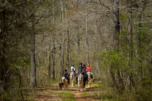 Sydney Gray (left), Linda Gray, Dennis Horion, Dawn Gray and Carol Witts ride ponies and horses along an eight mile trail with the Adopt-A-Horse organization in Covington on Tuesday, April 2, 2013.