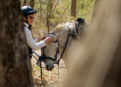 Linda Gray waits to mount her horse during a trail ride along the Alcovy River in Covington on Tuesday, April 2, 2013.