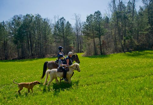 Dennis Horion (right) leads Dawn Gray and her daughter Sydney on horseback along an eight mile trail during their ride in Covington for the non-profit Adopt-A-Horse program on Tuesday, April 2, 2013. 