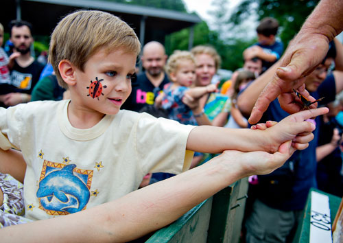 Kirill McQuillin (left) holds out his hand as Henning von Schmeling (right) places a butterfly on his finger at the Chattahoochee Nature Center in Roswell during the 14th annual Flying Colors Butterfly Festival on Saturday, July 13, 2013. 