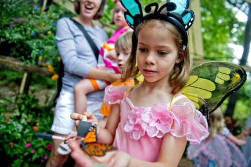 Eleni Witte carefully holds a butterfly inside the live butterfly exhibit tent at the Chattahoochee Nature Center in Roswell during the 14th annual Flying Colors Butterfly Festival on Saturday, July 13, 2013. 