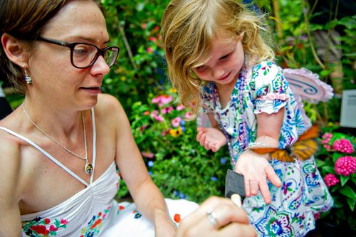 A butterfly flies from Clara Cureton's hand (right) as her mother Julie tries to pick it up with a  paint brush inside the live butterfly exhibit tent at the Chattahoochee Nature Center in Roswell during the 14th annual Flying Colors Butterfly Festival on Saturday, July 13, 2013. 