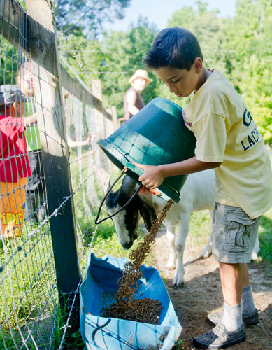 Brandon Dillingham (right) feeds some of the goats during summer camp at Rancho Alegre Farm in Dacula on Friday, June 14, 2013. 