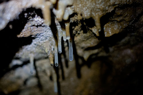 Calcium deposits drip water into the underground river of Sitton's Cave in Cloudland Canyon State Park in Rising Fawn, Georgia on Tuesday, June 18, 2013.