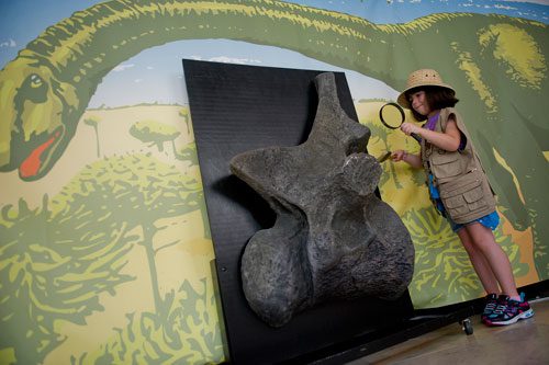 Evelyn O'Rear examines a dinosaur fossil with a magnifying glass at the Fernbank Museum of Natural History in Atlanta as part of the 12th anniversary of Giants of the Mesozoic on Saturday, August 24, 2013.
