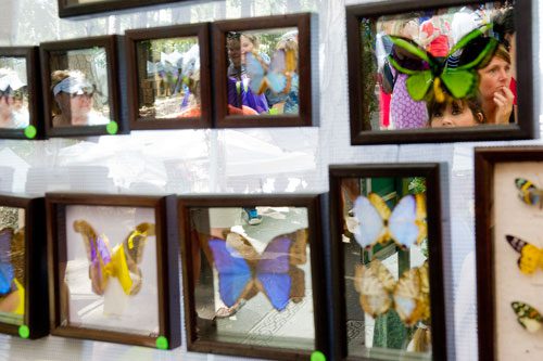 Amy Shear (top right) and Kara Blumfield take a look at the mounted butterflies for sale at the Amazing & Beautiful Butterflies booth during the Yellow Daisy Festival at Stone Mountain Park on Saturday, September 7, 2013. 