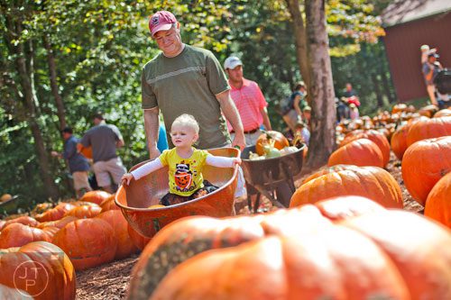 Jerry Broome (center) pushes his granddaughter Callie Embrick in a wheelbarrow as they search for the perfect pumpkin at Burt's Pumpkin Farm in Dawsonville on Sunday, October 13, 2013. 