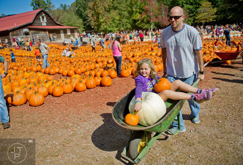Jim Aronowitz (right) pushes his daughter Riley and thier pumpkins in a wheelbarrow at Burt's Pumpkin Farm in Dawsonville on Sunday, October 13, 2013. 
