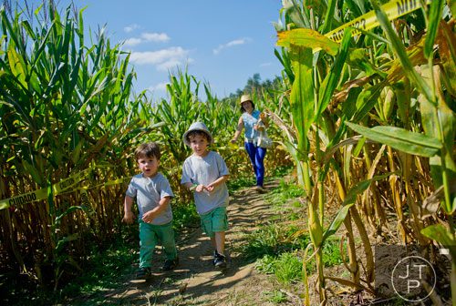 Liam Moncia (left) and his brother Jayden lead their mother Kennia through the Buford Corn Maze on Saturday, October 5, 2013.