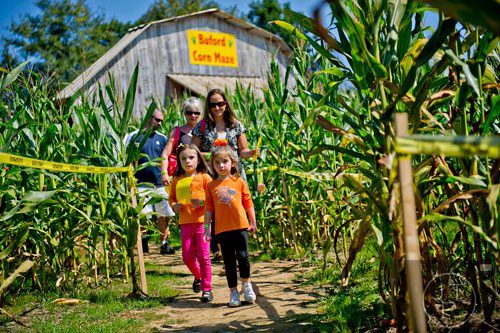 McKenna Butera (right) and her sister Alyssa lead their mother Danielle, grandmother Susan and father Greg through the Buford Corn Maze on Saturday, October 5, 2013. 