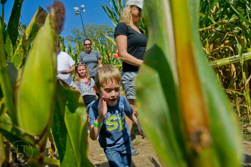 Max Snyder (center) passes by the rows of corn as he walks with his mother Dellanney and Olivia Watkins and her mother Shannon Maxwell through the Buford Corn Maze on Saturday, October 5, 2013. 