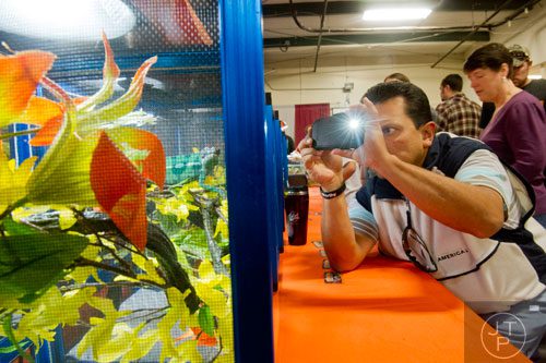 Martin Miranda (right) takes a photo of a panther chameleon with his cell phone during Repticon at the Gwinnett County Fairgrounds in Lawrenceville on Saturday, November 16, 2013. 