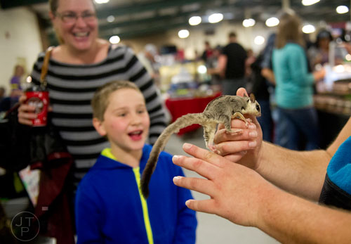 Jason Riggs (right) holds a sugar glider in his hands as Alex Croley and his mother Kim watch during Repticon at the Gwinnett County Fairgrounds in Lawrenceville on Saturday, November 16, 2013. 