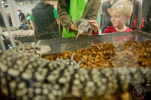 Philip Liebenberg (right) pets a black and white Argentine tegu during Repticon at the Gwinnett County Fairgrounds in Lawrenceville on Saturday, November 16, 2013. 