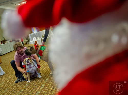 Matt McMahon (left) gets his dogs Kahlua and Bailey ready for a picture with Santa during the Georgia English Bulldog Rescue's Santa Paws party at the Westin Buckhead Atlanta Hotel on Sunday, November 17, 2013. 