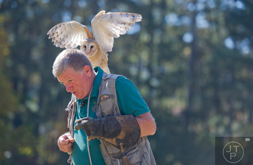 Banshee the barn owl lands on Dale Arrowood as he gives a bird of prey demonstration during the Indian Festival & Pow-Wow at Stone Mountain Park on Sunday, November 3, 2013.