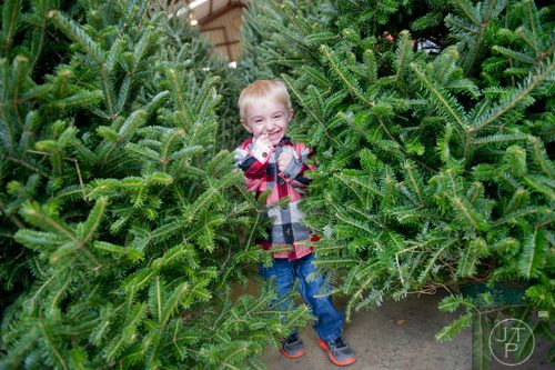 Trevor Townsend runs through the stands of Christmas trees at Southern Belle Farm in McDonough on Saturday, December 7, 2013.