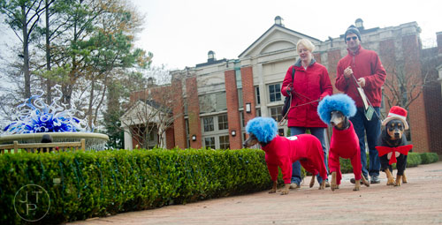 Robert Fratesi (right) and his wife Jane walk their dogs Huggy Bear, Zola and Skyler around the Atlanta Botanical Garden on Saturday, December 7, 2013.