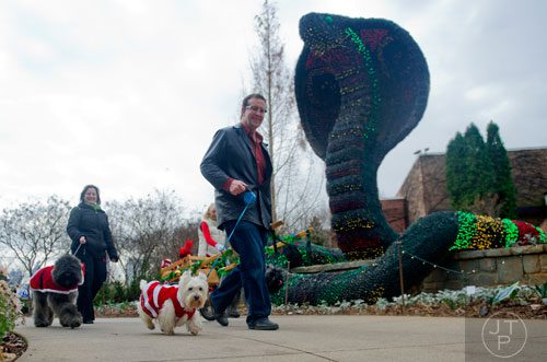 Andy Hill (center) walks his Westie Boo past the cobras at the Atlanta Botanical Garden on Saturday, December 7, 2013.