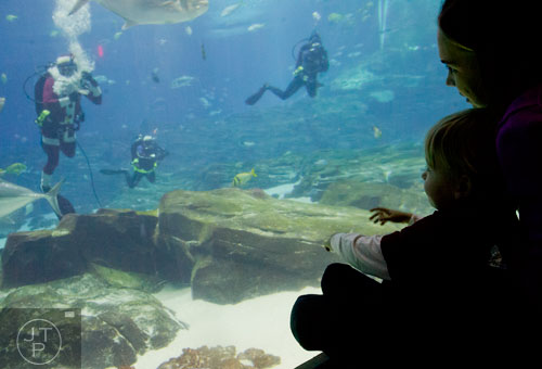 Ethan Schuman (center) sits in his mother Julie's lap as they watch Scuba Claus swim in the Ocean Voyager tank at the Georgia Aquarium during an appearance on Friday, December 13, 2013. 
