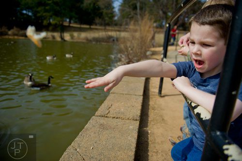 Leeland Smith feeds the geese at Shorty Howell Park in Duluth on Sunday, February 23, 2014. 