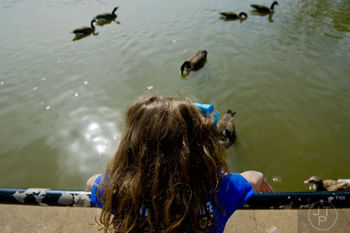 Riley Herrick feeds the geese at Shorty Howell Park in Duluth on Sunday, February 23, 2014. 