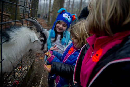 Jacquelyn Almond (center), her sister Sofia and Kyrie Abell (left) feed a goat at the Yellow River Game Ranch in Lilburn on Sunday, February 2, 2014.  