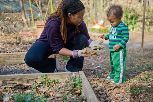 Catherine Tavares (left) gets help from her son Patrick Jr. as they remove weeds from one of the garden beds at the Cator Woolford Gardens at the Frazer Center in Atlanta on Sunday, March 2, 2014. 