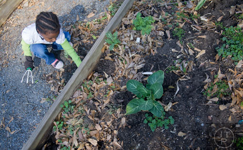 Sanai Odro removes weeds from one of the garden beds at the Cator Woolford Gardens at the Frazer Center in Atlanta on Sunday, March 2, 2014. 