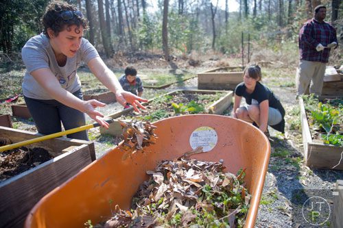 Amy Price (left) piles dead leaves into a wheel barrow as she leads Chantal Pierre, Kat Roberts and Patrick Tavares Sr. in removing weeds from the garden beds at the Cator Woolford Gardens at the Frazer Center in Atlanta as she leads a group of volunteers on Sunday, March 2, 2014. 