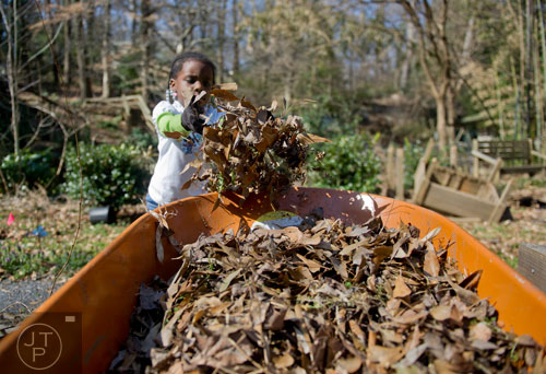 Sanai Odro piles dead leaves into a wheel barrow at the Cator Woolford Gardens at the Frazer Center in Atlanta on Sunday, March 2, 2014. 