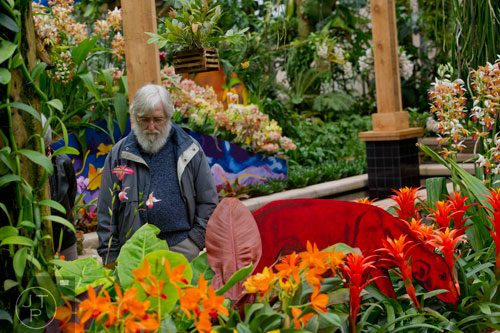 Carl Schurer looks at the orchids on display in the Paul Gauguin section of the Orchid Daze: Lasting Impressions installation at the Atlanta Botanical Garden's Fuqua Conservatory and Orchid Center on Tuesday, March 4, 2014. 